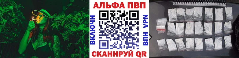 закладка  Грязовец  Alfa_PVP СК КРИС 